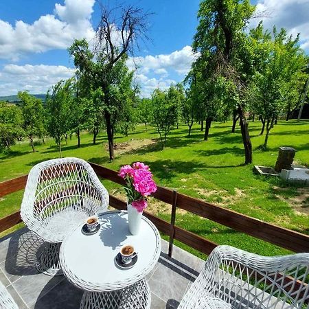 Villa Vikendica Gaj Gornji Milanovac Exterior foto