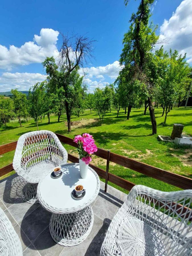 Villa Vikendica Gaj Gornji Milanovac Exterior foto